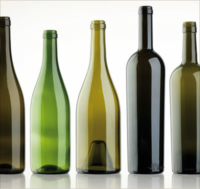 Tipologie di bottiglie per il vino