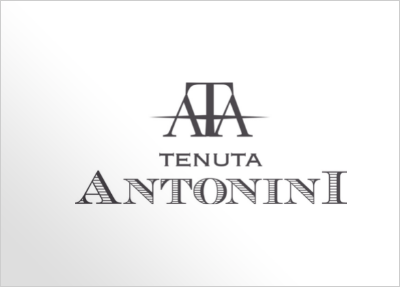 Tenuta Antonini vino abruzzo