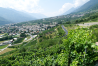 I vini della Valtellina