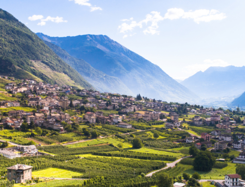 Un viaggio sensoriale tra i vini della Valtellina