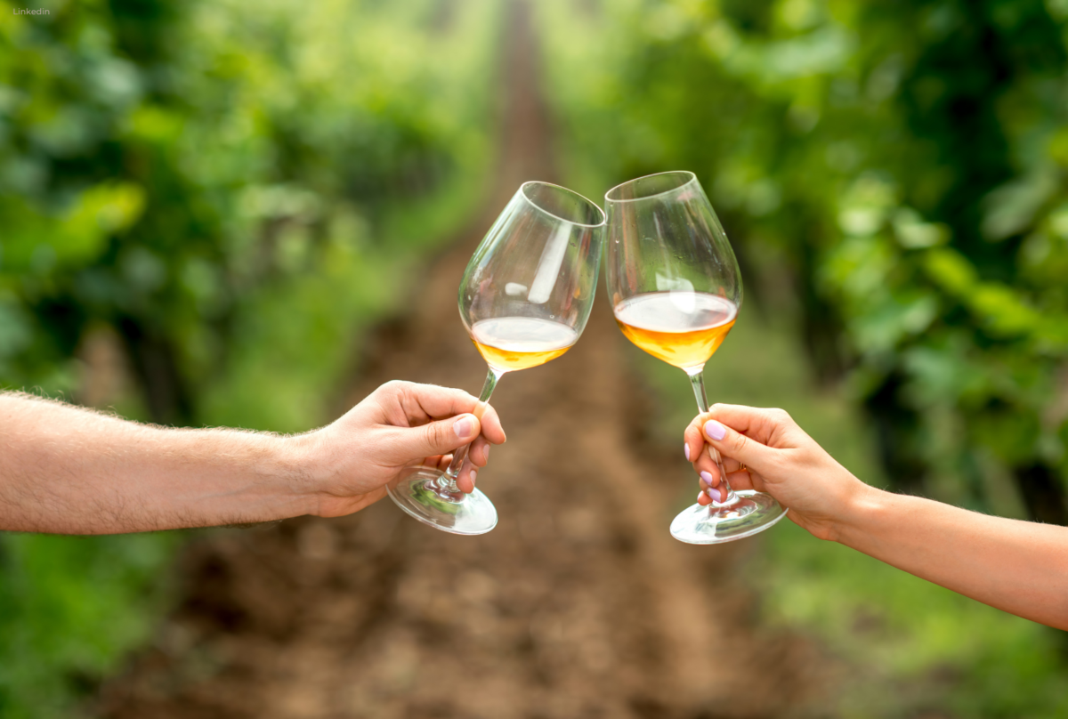 Vini fruttati contro vini lavici e sapidi