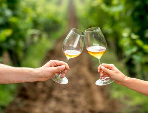 Vini fruttati contro vini lavici e sapidi: una questione di gusti