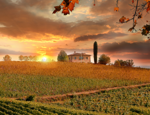 I grandi terroir italiani: storia, clima e identità nel calice
