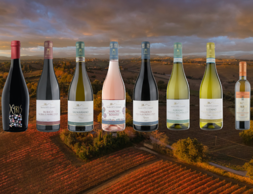 Le Marche protagoniste nel panorama enologico Horeca